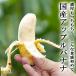  Apple banana местного производства нет пестициды 1kg Okinawa namwa banana фрукты рисовое поле удача banana ферма 