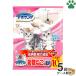 �P�[�X�@���Y�@�f�I�T���h�@�����˂��p�����@10L �~ 5�܁@�L���@�l�R���@���^�C�v�@�����@���L�@�ł܂鎆���@���{���@�g�C���@�T���h�@���j�E�`���[��