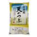 天のつぶ 白米 5kg 会津産 令和元年産 お米 ※九州は送料別途500円・沖縄は送料別途1000円