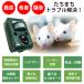 2�Z�b�g �L�悯 �����g �L���� �΍� �ŋ� �� �C�m�V�V �ގ� ���ފ� �\�[���[ �[�d USB �� ���ރO�b�Y �˂��悯 �n�N�r�V�� �A���C�O�} �� ���ԏ� ���� �֘A�摜2