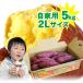  батат становится . золотой час ....2L 5kg личный автомобиль Tokushima префектура .. город .. блок производство местного производства овощи батат бесплатная доставка 