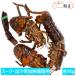  суп |.. для омар море . примерно 1Kg