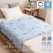  половина Kett примерно 100×135cm контакт охлаждающий & пирог ru двусторонний Mini тонкое одеяло животное рисунок все 8 цвет рисунок развитие forest Bear Северная Европа кошка пингвин simaenaga