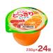 ����� �[���[ ����݂̂ǂ����� �~�b�N�X 230g 24�� �J�b�v�[���[ �t���[�c�[���[ ���������ʎ��� ��������