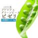  fresh green pea pizeli( with sheath ) < Italy production > [ business size economical 1kg][ refrigeration goods ]