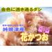 . Tsu production flower and .500g×6 sack ~* soup extraction exclusive use . Tsu production dried bonito Katsuobushi ~. ....!