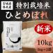 �V�� �ߘa8�N�Y ���ʍ͔|�� �ЂƂ߂ڂ� ���� 10kg �o�ĎY �_��E���w�엿�ߌ��͔|�� �{�錧�Y ���� ���_���