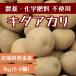  картофель (kita красный li) 1kg