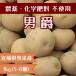  картофель ( мужчина ...) 1kg