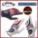 値下げ！「ネコポス便対応」 キャロウェイ グラフィック グローブ Callaway Graphic Glove 17 JM