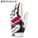 �e�[���[���C�h �C���^�[�N���X 7.0 ���蒅�p TL931 �O���[�u TaylorMade INTERCROSS 7.0 �u���{���K�i�v����p �֘A�摜4