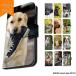 AQUOS sense3 plus 901SH кейс блокнот type Aquos чувство 3 плюс покрытие дизайн FUN LIFE WITH DOG собака ..