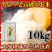 【大分の棚田米】28年産九州大分県玖珠産ひとめぼれ10kg/5kg×2個/白米/条件付き送料無料