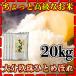 【大分の棚田米】28年産九州大分県玖珠産ひとめぼれ20kg/5kg×4個/白米/条件付き送料無料