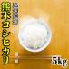 あすつく 新米 一部地域 送料無料 精白米 令和元年産 1年産 2019年産 九州 熊本県産 コシヒカリ 5kg 他の商品との同梱不可 単独発送
