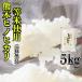 一部地域 送料無料 精白米 新米 令和元年産 1年産 2019年産 一等米使用 九州 熊本県産 ヒノヒカリ 5kg ひのひかり 他の商品同梱不可 単独発送