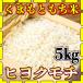 o rice rice 5kg mochi white rice Kumamoto prefecture production hiyokmochi..... peace 5 year production 5kg1 piece ..... . rice Tomita shop ... shop 