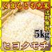 o rice rice 5kg mochi white rice free shipping Kumamoto prefecture production hiyokmochi..... peace 5 year production 5kg1 piece ..... . rice Tomita shop ... shop 