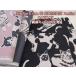 NekoNoe K from 30 SEWINGPINS echinoCATCATͥǭ㥭Х