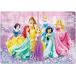 *80 деталь ребенок предназначенный мозаика .... Disney Princess [ детский мозаика ] DC-80-160( тонн yo-).60cm