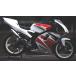 ORM производства Yamaha TZR50Rk Lazy камера aluminium глушитель жаростойкий прозрачный покраска tzr