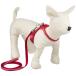 ne.mote Old flower 01 harness set N red cat for Harness * Lead 