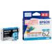 �@�l�l�������G�v�\�� �����C���N ICC62A1 �V�A�� �P�i �b EPSON