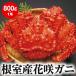  Boyle цветок .gani( примерно 800g) 1 хвост мужской ma luna kai chi криптомерия ландшафт производство | Hokkaido корень . город l Hokkaido производство . краб морепродукты, seafood краб 