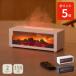 Elaice �G���X �A���~�X�g �V���~�l ������ �A���}�f�B�t���[�U�[ LED �����R���t��