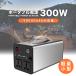 �|�[�^�u���d����e��300W ���d�@ 300W�|�[�^�u���d���~�d�r �������g �h�Зp�i �Ԓ��� �h�ЃO�b�Y�@�L�����v �A�E�g�h�A ��d�΍�