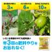 �Ԃ����� �������E�~�J���E���k�̔엿 �ԕt���A���t�����ǂ��Ȃ郊���_���� 500g �֘A�摜2