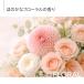 MIYOSHI ����p�������� ���敗 �Ɩ��p �l�ߑւ� 4.0L �t���[�����̍��� �֘A�摜2