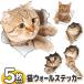  настенный стикер кошка 5 шт. комплект стена из скол выставлять Trick искусство 3D.. кошка обои наклейка интерьер животное наклейка настоящий бесплатная доставка 1M* мелкие сколы от камней .. кошка DL