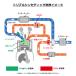 YAZAWA FPx3 �t���[�G���|�[�V����3 300ml FP3-G300 �֘A�摜5