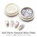  Nailparts натуральный mica хлопья в кейсе 