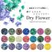 .. дымка дымка сухой цветок 8~10 листов в кейсе Nailparts засушенный цветок Nailparts цветок 