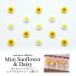  Nailparts Mini hi вокруг & Дэйзи 5 штук входит 52
