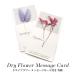  dry flower message card attaching all sorts 1-6