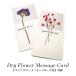  dry flower message card attaching all sorts 22-33
