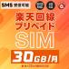 (1�N)�v���y�C�hSIM ���{ SMS�F�؉\ ��MOK �����y�V���o�C�� 30GB/�� �f�[�^��p �ő�13�J���L�� 5G/4G-LTE�Ή� ���ۃ��[�~���O�Ή�