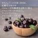 �L�@�A�T�C�[�t���[�Y�h���C�p�E�_�[ 100g���� �T�v�������g �X�[�p�[�t�[�h �|���t�F�m�[�� �A���g�V�A�j�� ���N�H�i ���e ���Y�� �h�{���_ �֘A�摜3