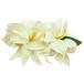  хула украшение для волос van dao- Kid зажим белый 