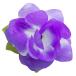  хула украшение для волос волосы зажим ga-tenia зажим violet 