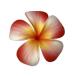 �w�A�N���b�v �@YTMZ0301-RED�@�v�������A�N���b�v3�@���b�h�@��
