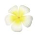 �w�A�N���b�v �@YTMZ0301-WHITE�@�v�������A�N���b�v3�@�z���C�g�@��