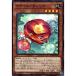 ʥ륫ꥢ A Ρޥ DABL-JP021  ͷOCG