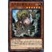 �����Ĥι�� ������ �ڥ�󥹥����� ����A �Ρ��ޥ� DBDS-JP021 ͷ����OCG