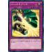 ͷ SR02-JP037 Сȥ֥쥹 ȥ饯㡼ǥåRݵε SR02