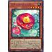 ͷ DABL-JP021 ʥ롦ꥢ Ρޥ N 󥰡֥饹