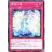 ͷ���� DUAD-JP077 �������� �Ρ��ޥ� N �ǥ奨�ꥹ�ȡ����ɥХ� DUELIST ADVANCE �ꥸ���ͥ������ޥ�ɥ���